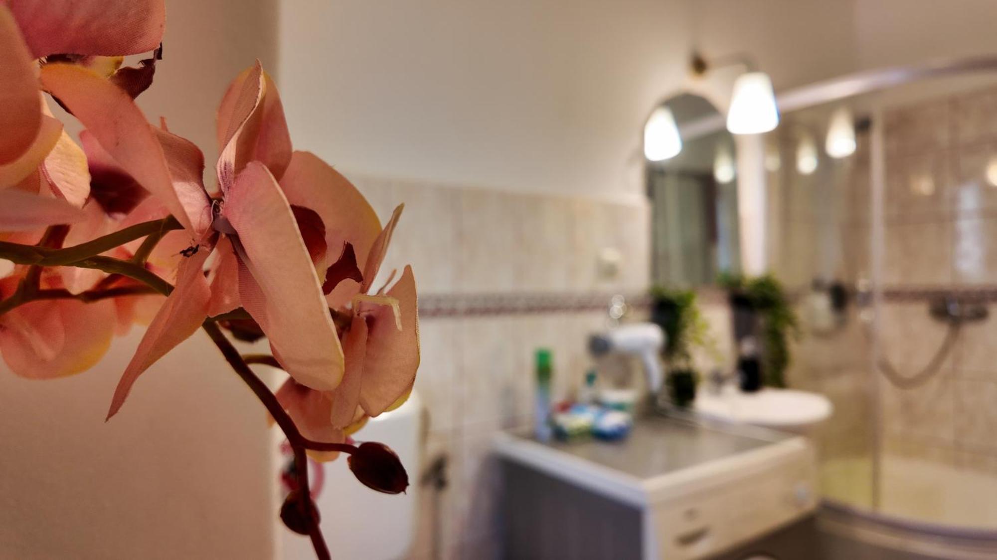 Intimo Oldtown Romantic Apartment Брашов Экстерьер фото